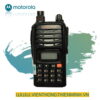 bo-dam-motorola-gp-900 (1)